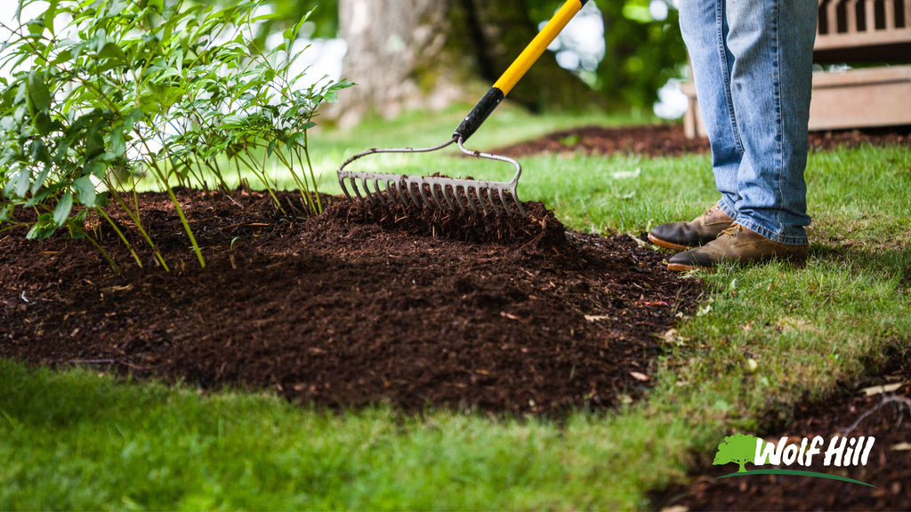 The Power of Mulch: Enhancing Your Garden and Reducing Maintenance with Organic Materials