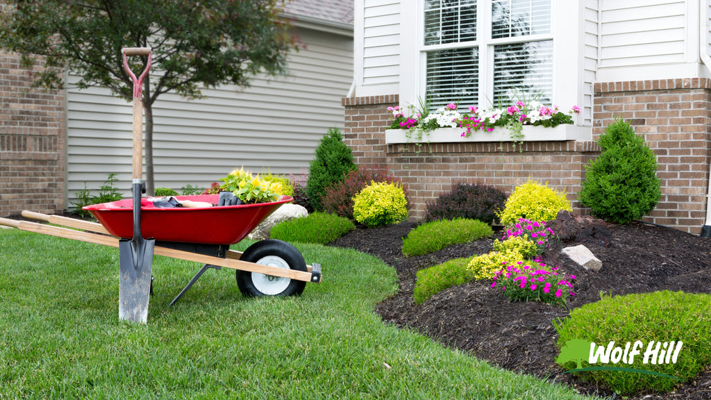 Low-Maintenance Landscaping: Choosing the Right Plants and Design for Your Yard