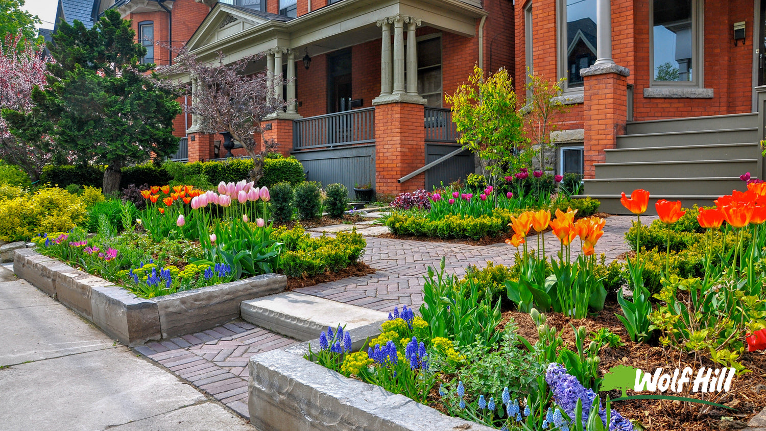 Landscaping for Curb Appeal: Ideas and Tips from Wolf Hill Garden Center Pros