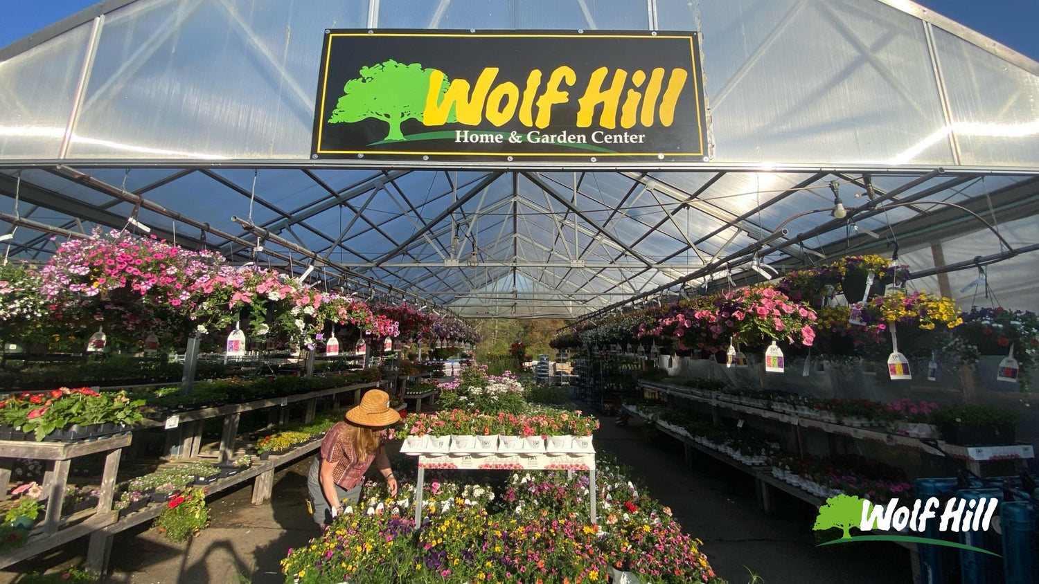 The Benefits of Shopping Local: Supporting Your Cape Ann Community at Wolf Hill Garden Center