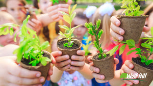 Gardening for Kids: Fun and Educational Activities to Get Children Involved
