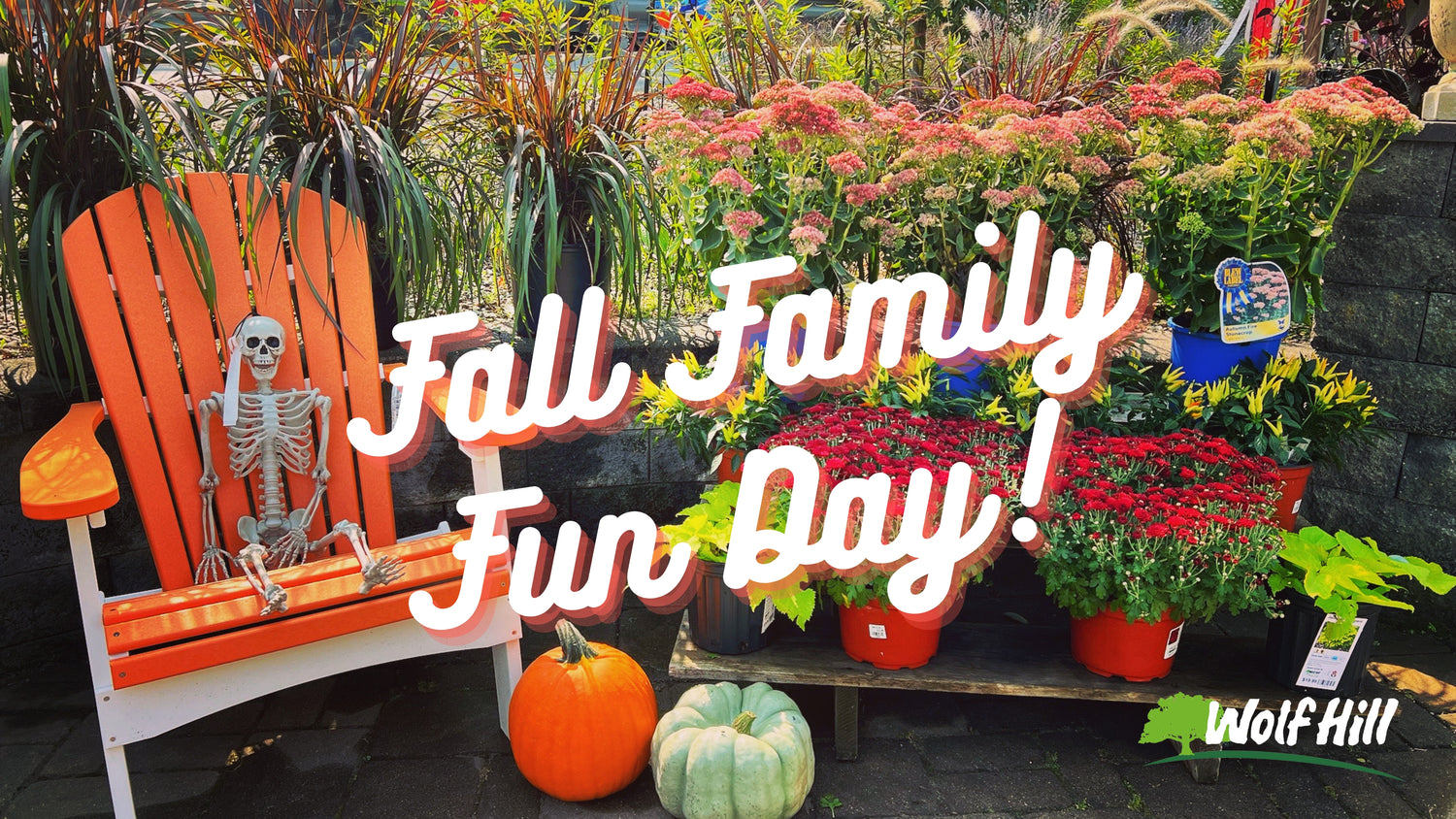 Fall Family Fun Day at Wolf Hill: Scarecrows, Pumpkins, and Smiles, Oh My!