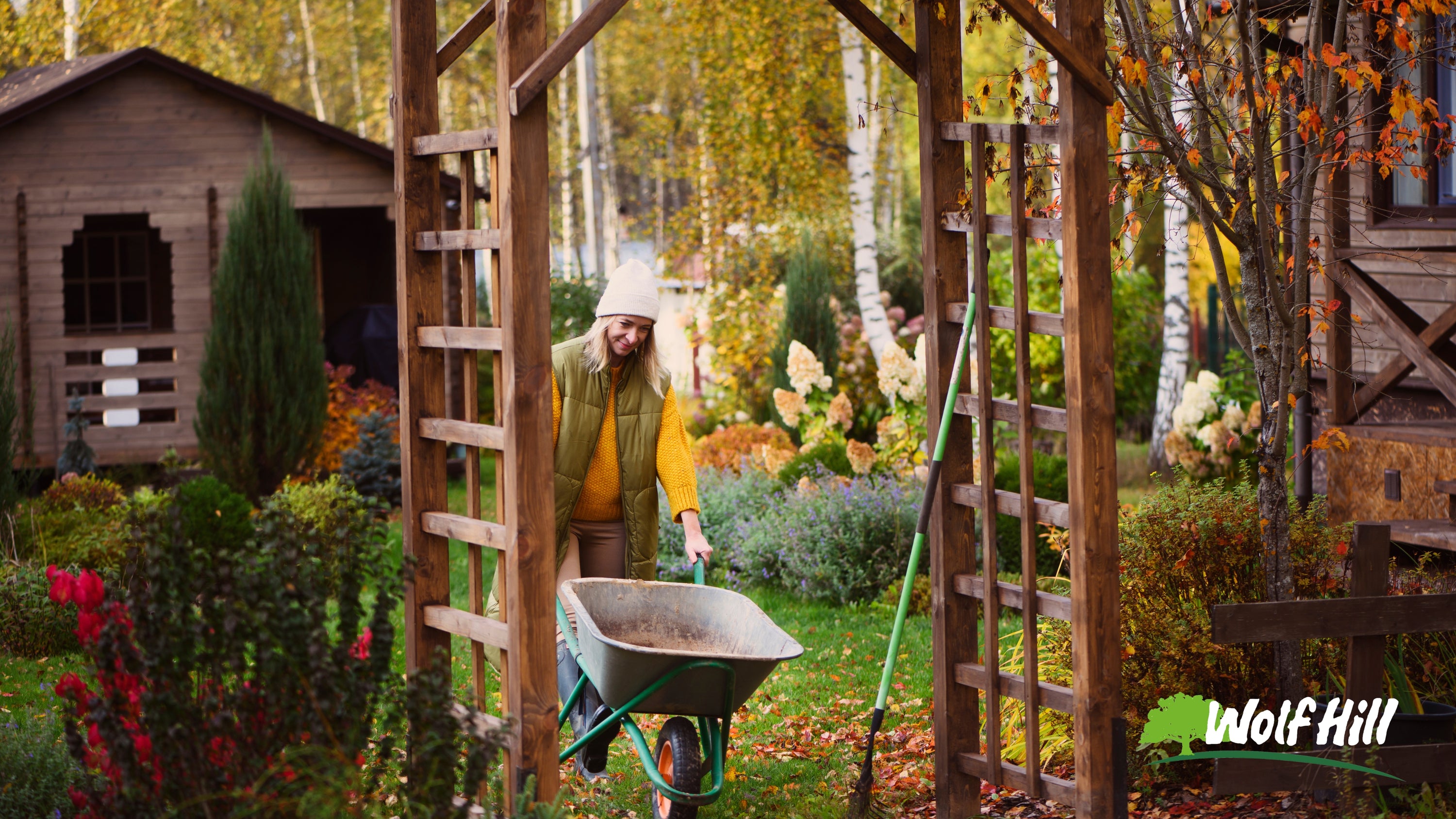 Maximizing the Magic of Fall: Planting and Adding Interest to Your Landscape