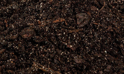 Bagged Compost/Soils