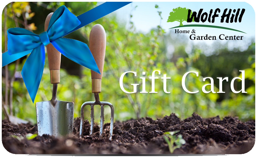 Wolf Hill Gift Card