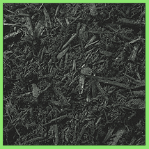 Sphagnum Peat Moss – Wolf Hill Garden Center
