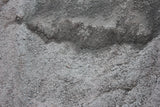 Stone Dust - per yard