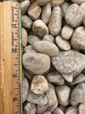 3/4" Round Stone - per yard